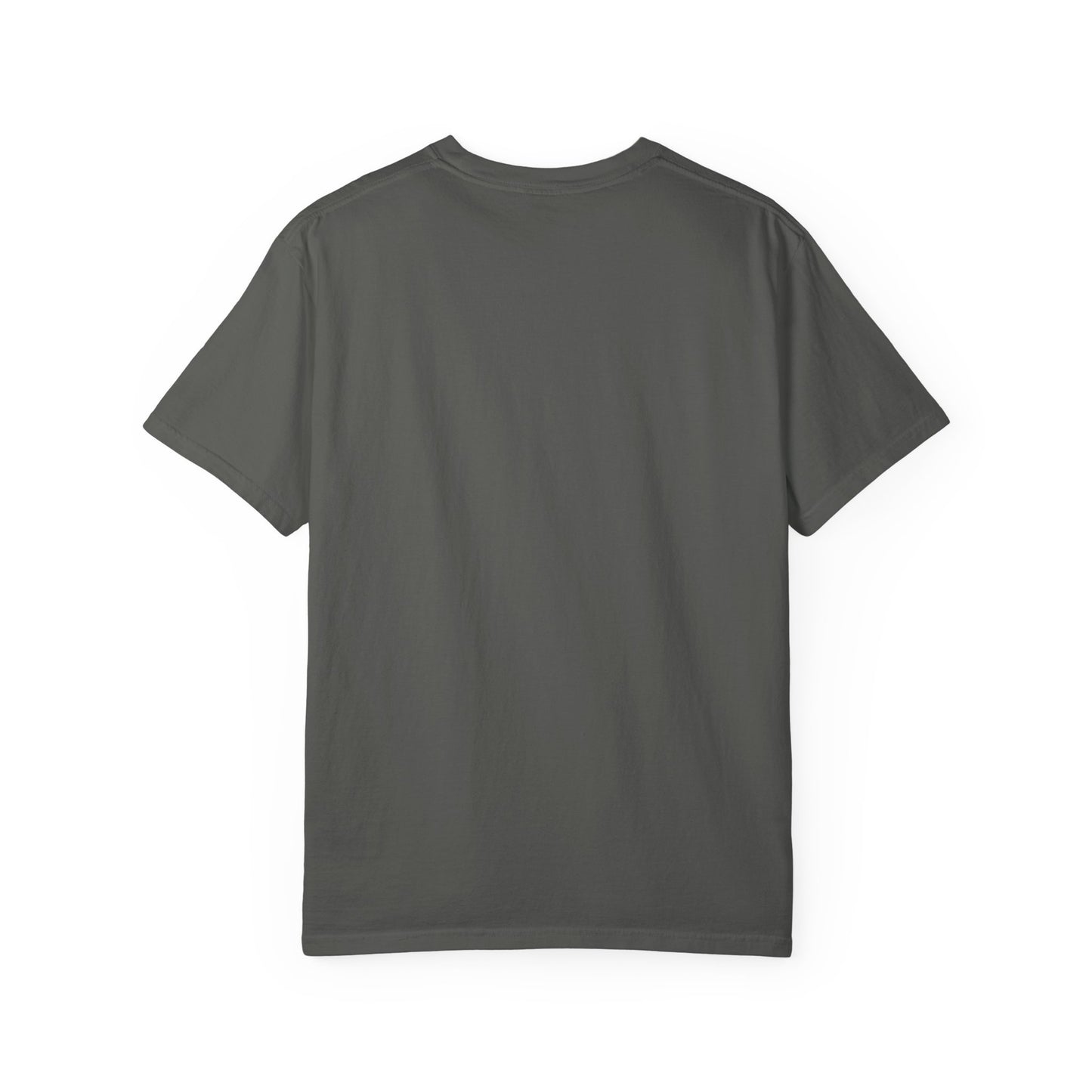 All Cats Are Pettable T-Shirt